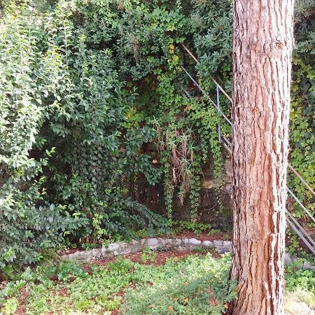 Ferienwohnung Casa Tina Santa Margherita Ligure Exterior foto
